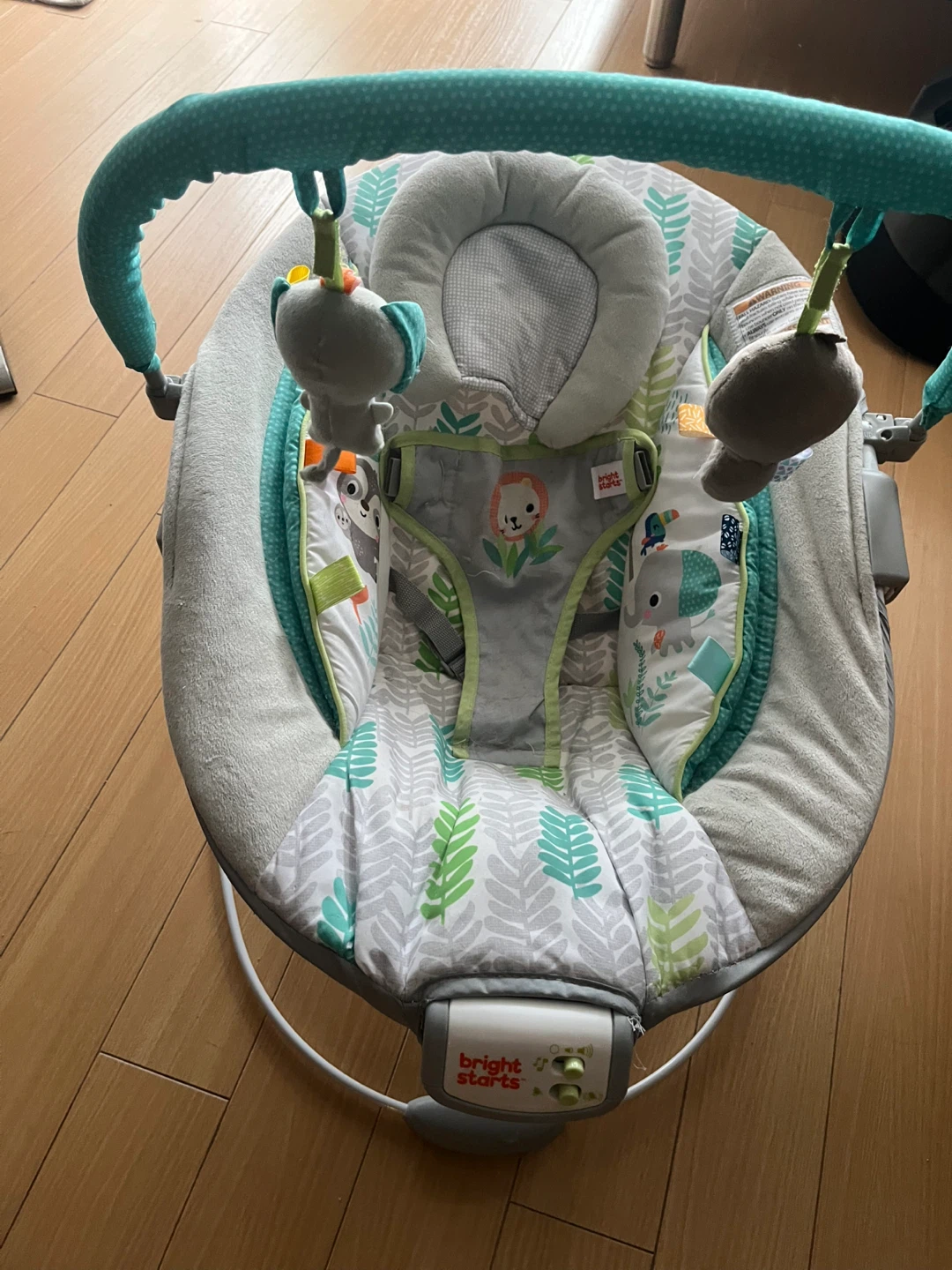 Bright Starts Baby Bouncer Seat