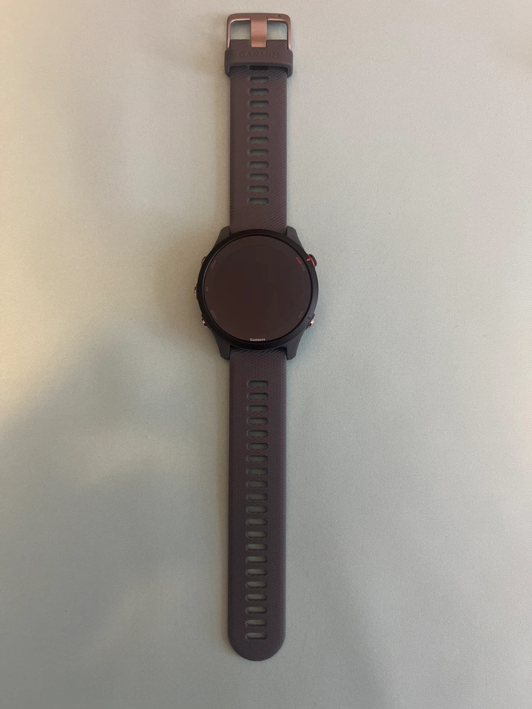 BRAND NEW: Garmin Forerunner 255 Smartwatch