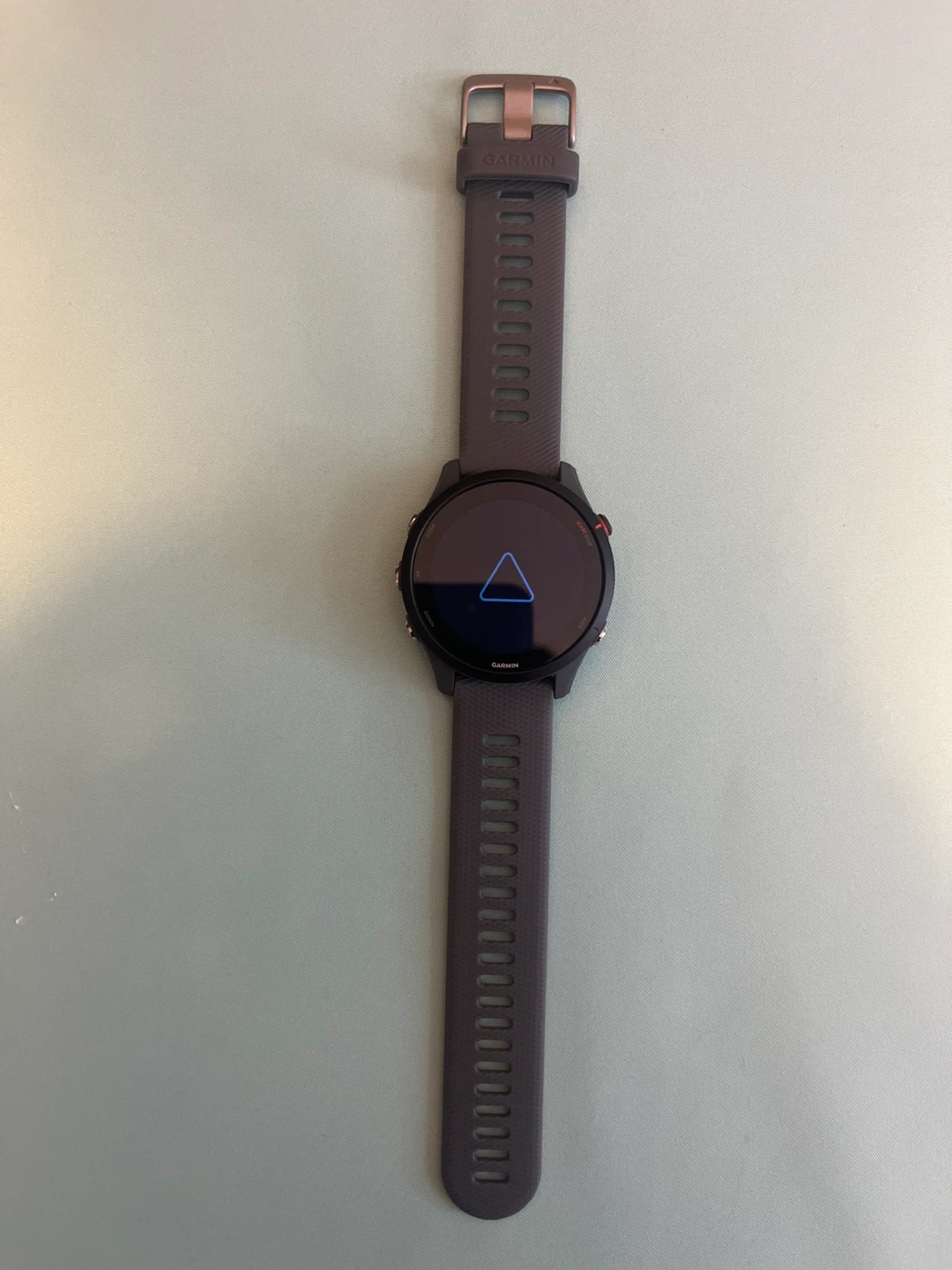 BRAND NEW: Garmin Forerunner 255 Smartwatch - photo 2