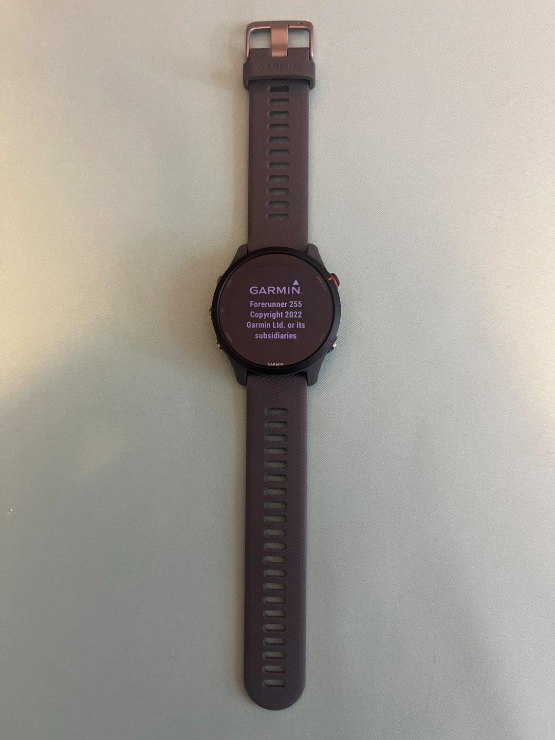 BRAND NEW: Garmin Forerunner 255 Smartwatch - photo 3
