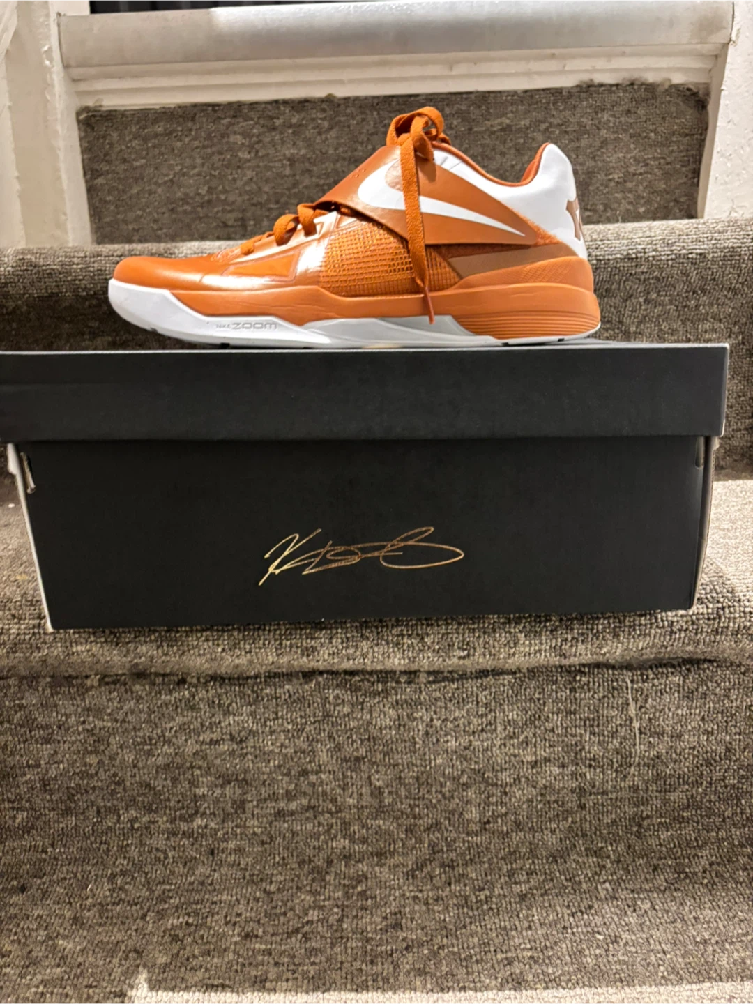 Kd 4 Texas