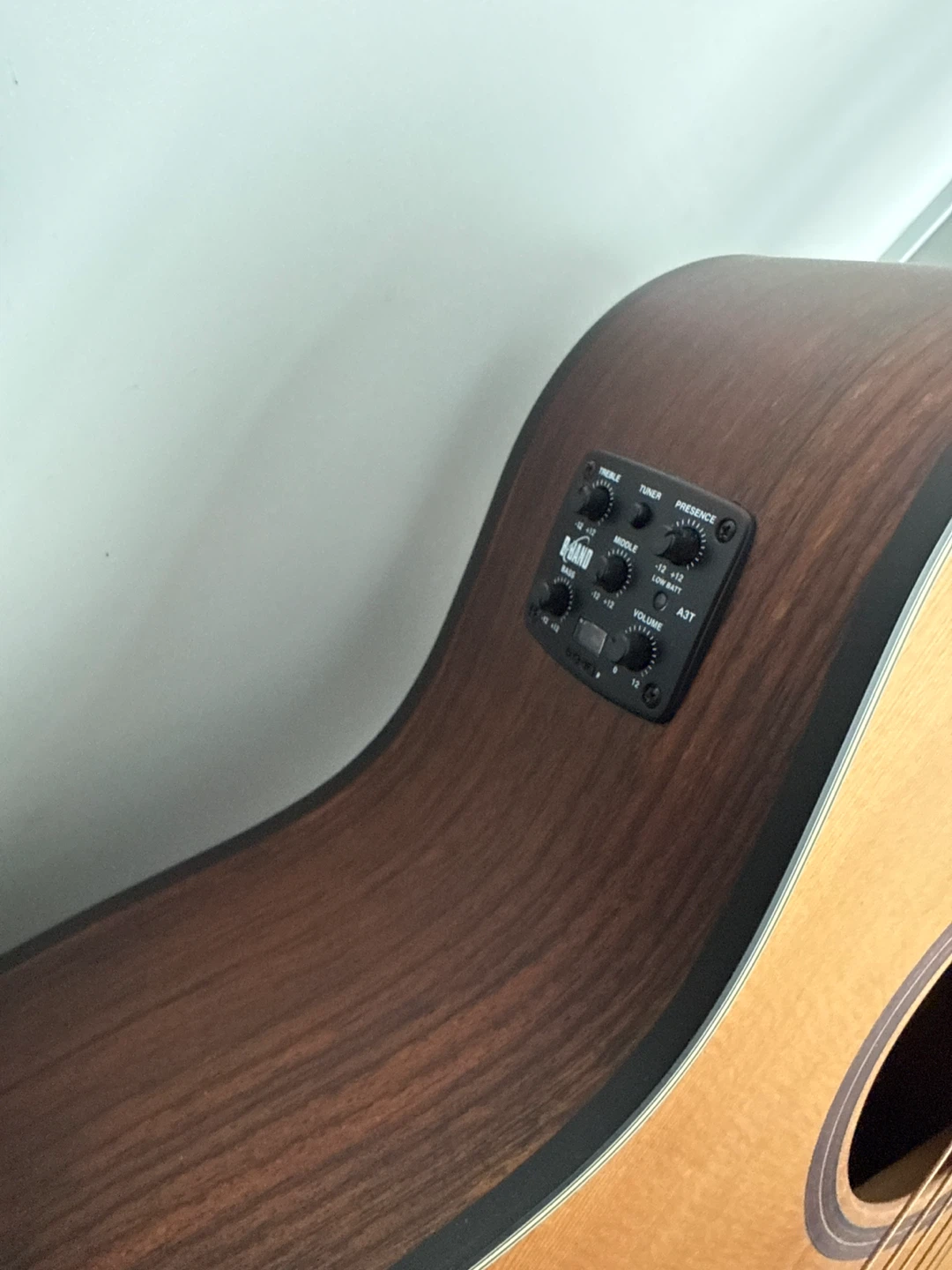DAME IVY 550 CE acoustic guitar - photo 4