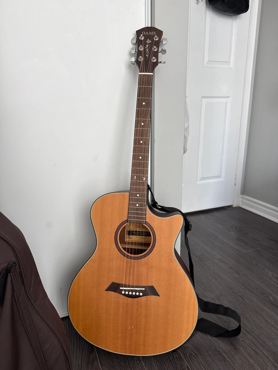 DAME IVY 550 CE acoustic guitar