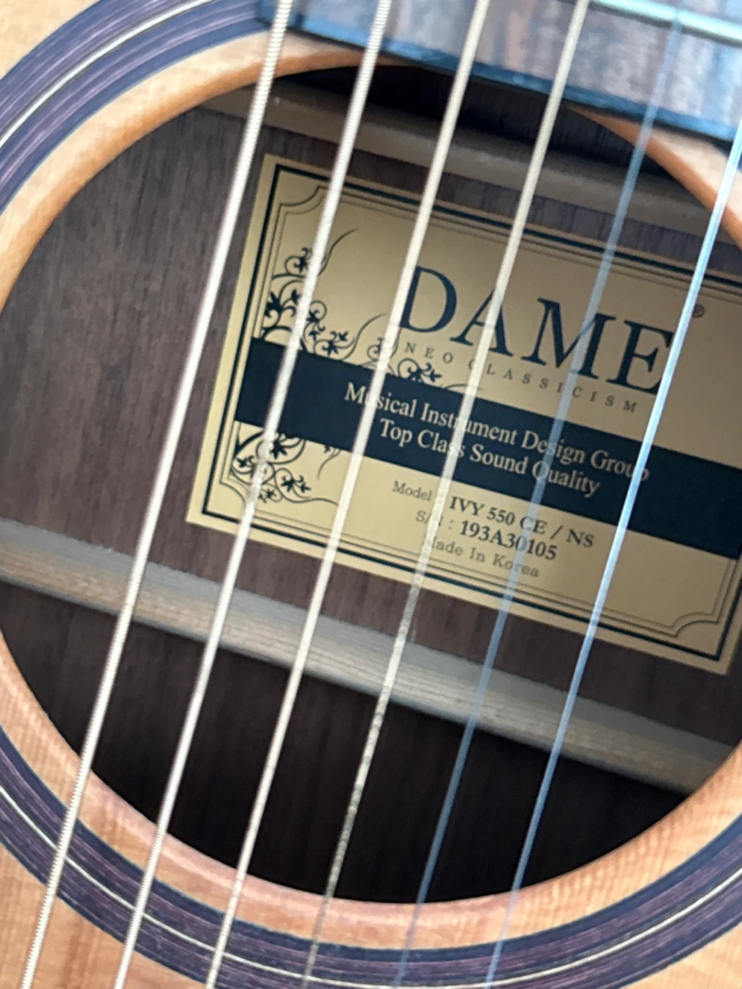 DAME IVY 550 CE acoustic guitar - photo 3