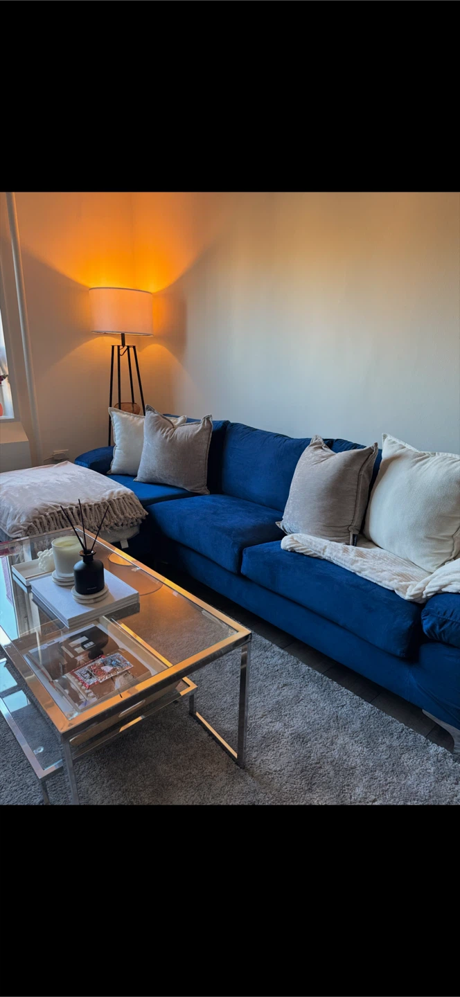 Blue Sectional Sofa with Chaise (Like New) - photo 3