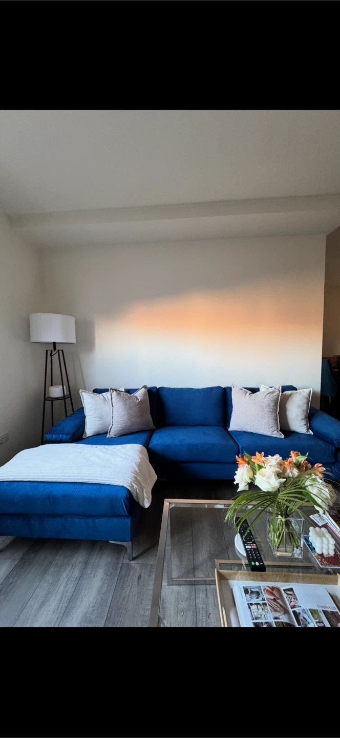 Blue Sectional Sofa with Chaise (Like New)