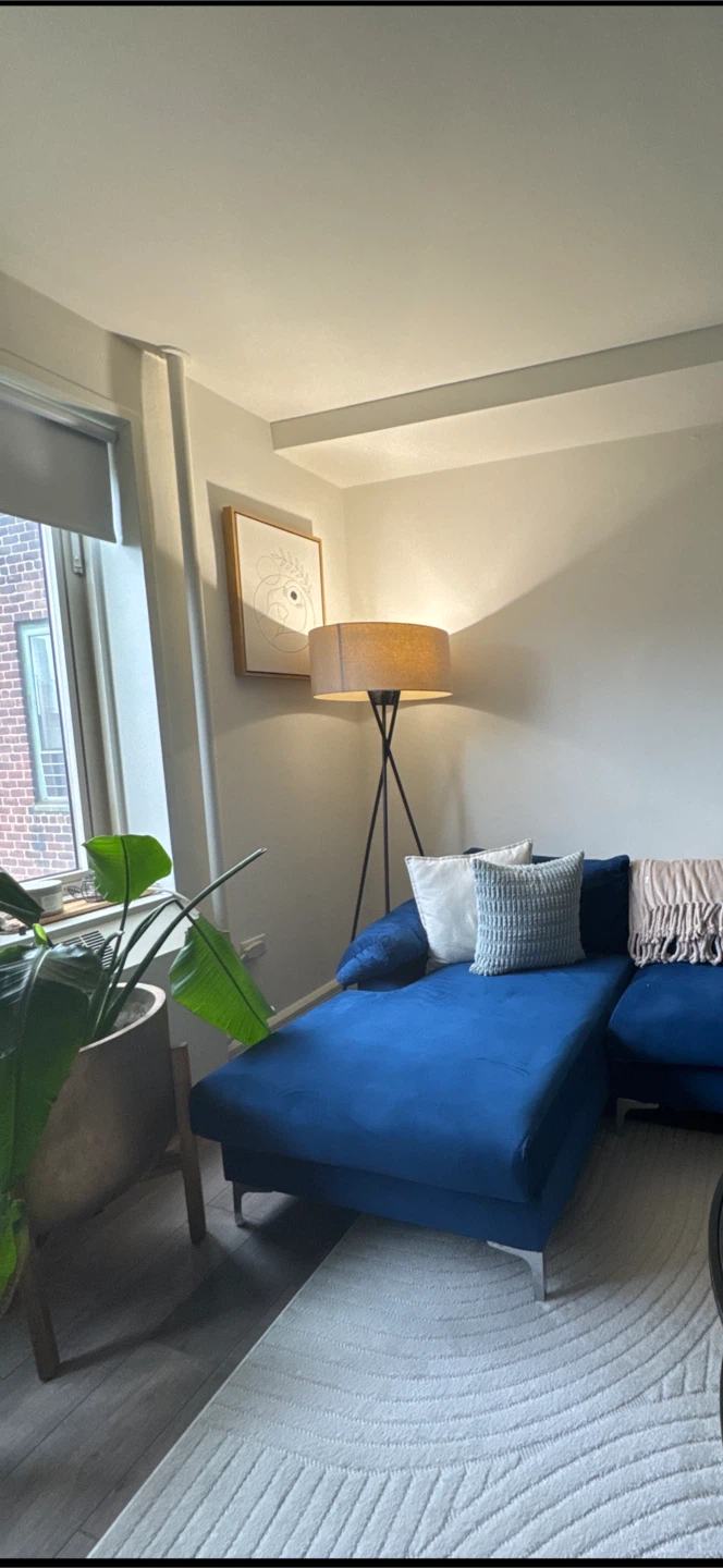 Blue Sectional Sofa with Chaise (Like New) - photo 2