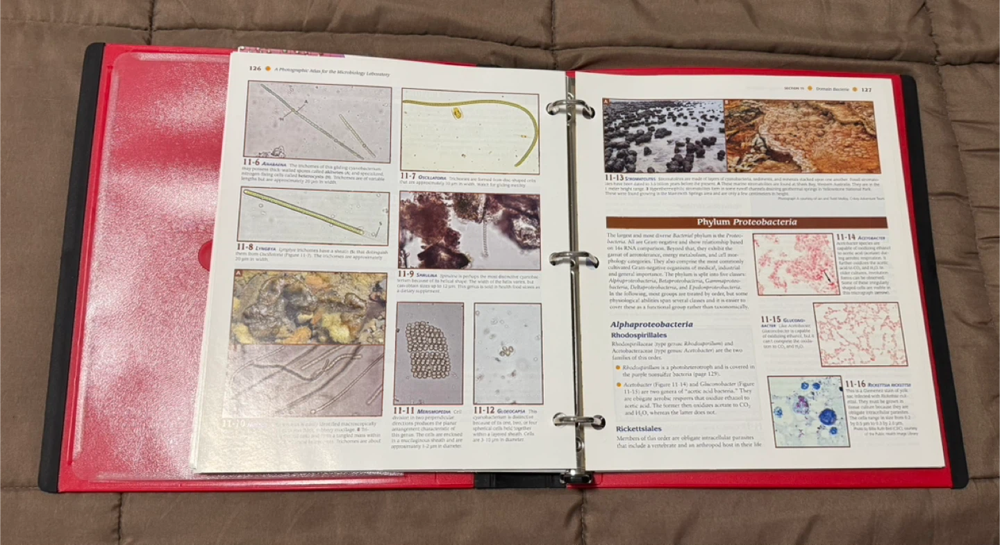 Microbiology Looseleaf Textbook - photo 5