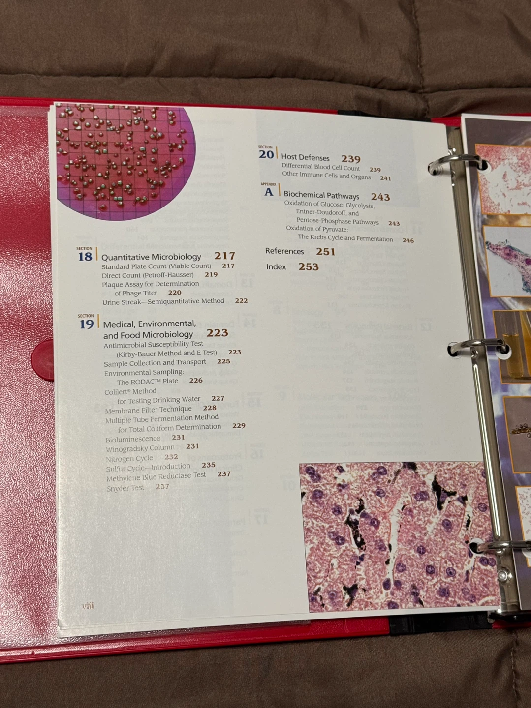 Microbiology Looseleaf Textbook - photo 4