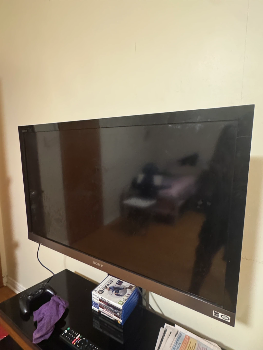 Sony Flat Screen TV