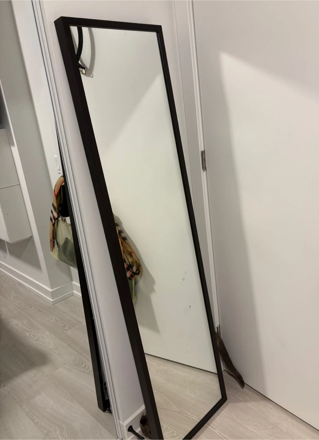 Tall Dark Framed Full Length Mirror - photo 2