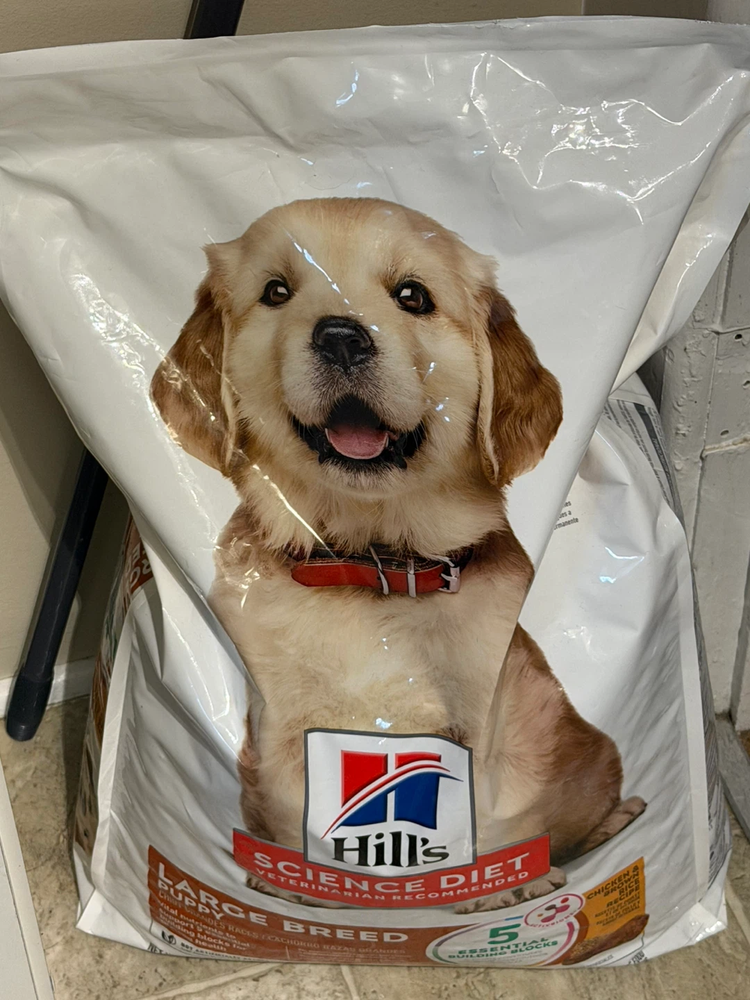 Hill's Science Diet Large Breed Puppy Food