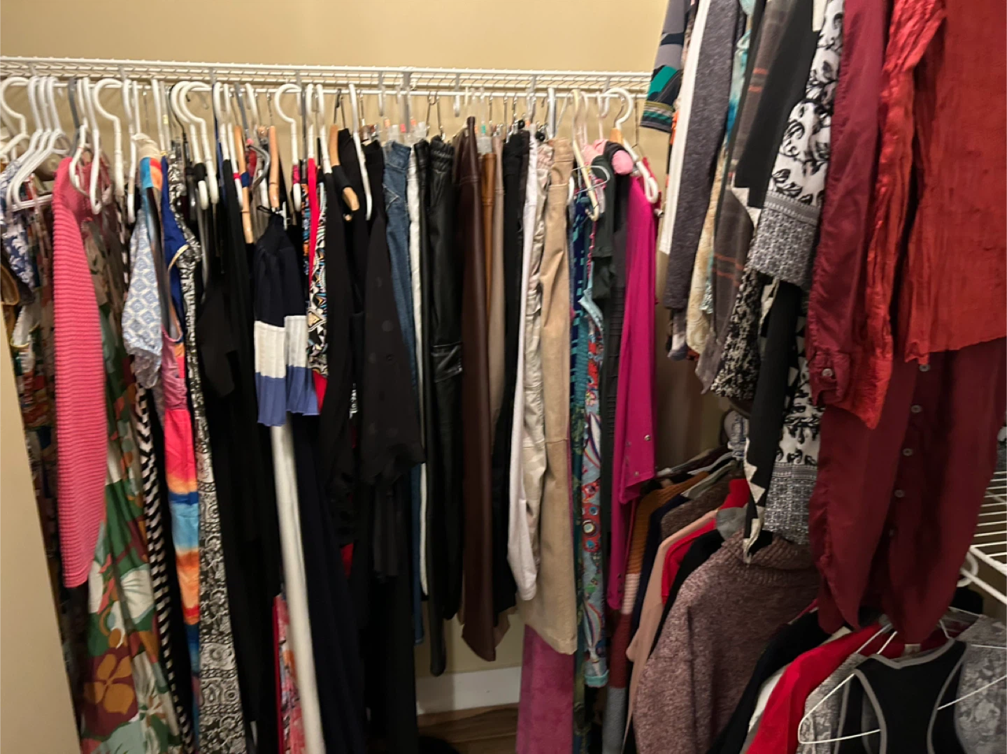 Assorted Women's Clothing Collection