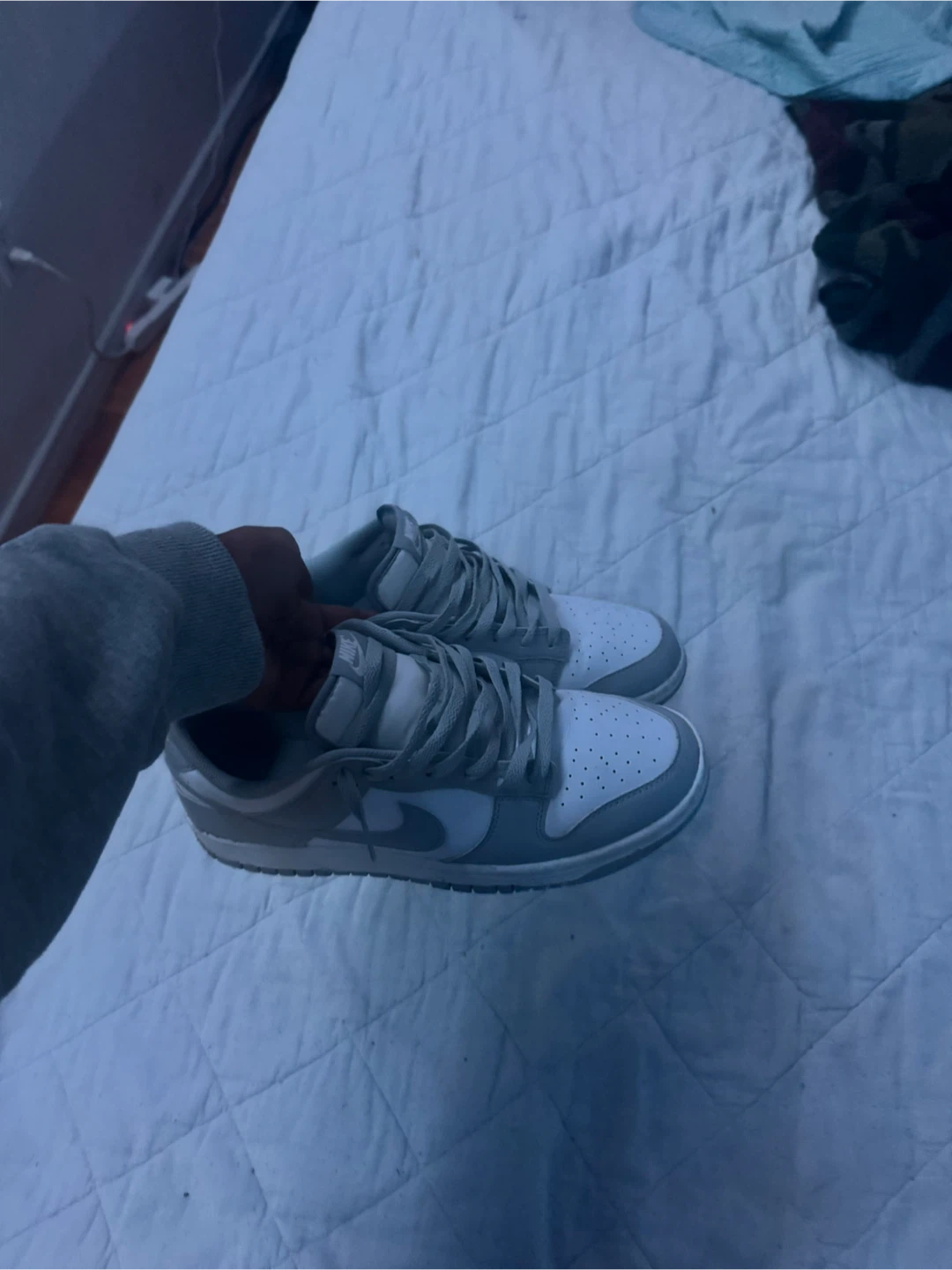 Nike dunk low grey fog
