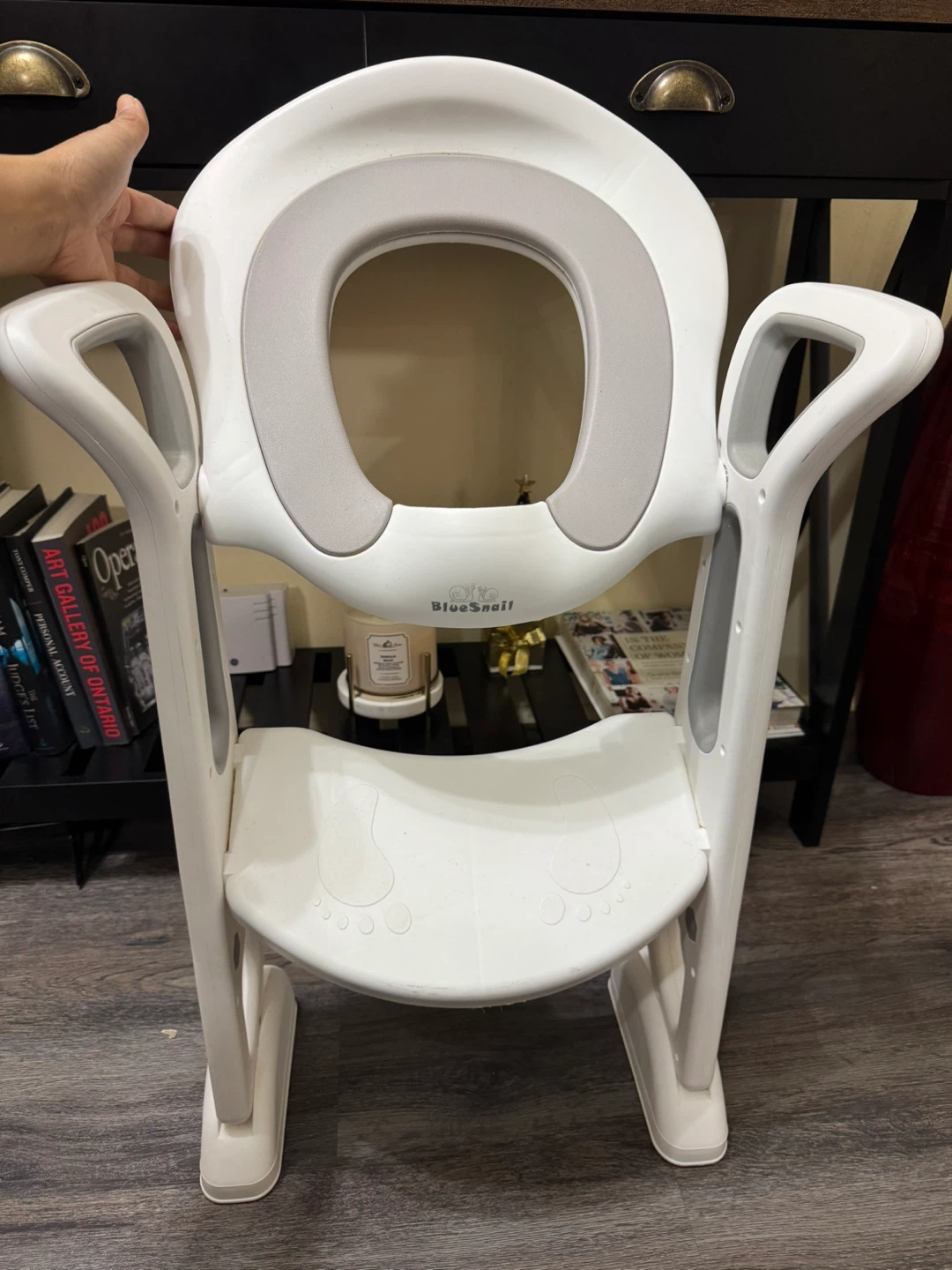 BlueSnail Potty Training Seat with Ladder