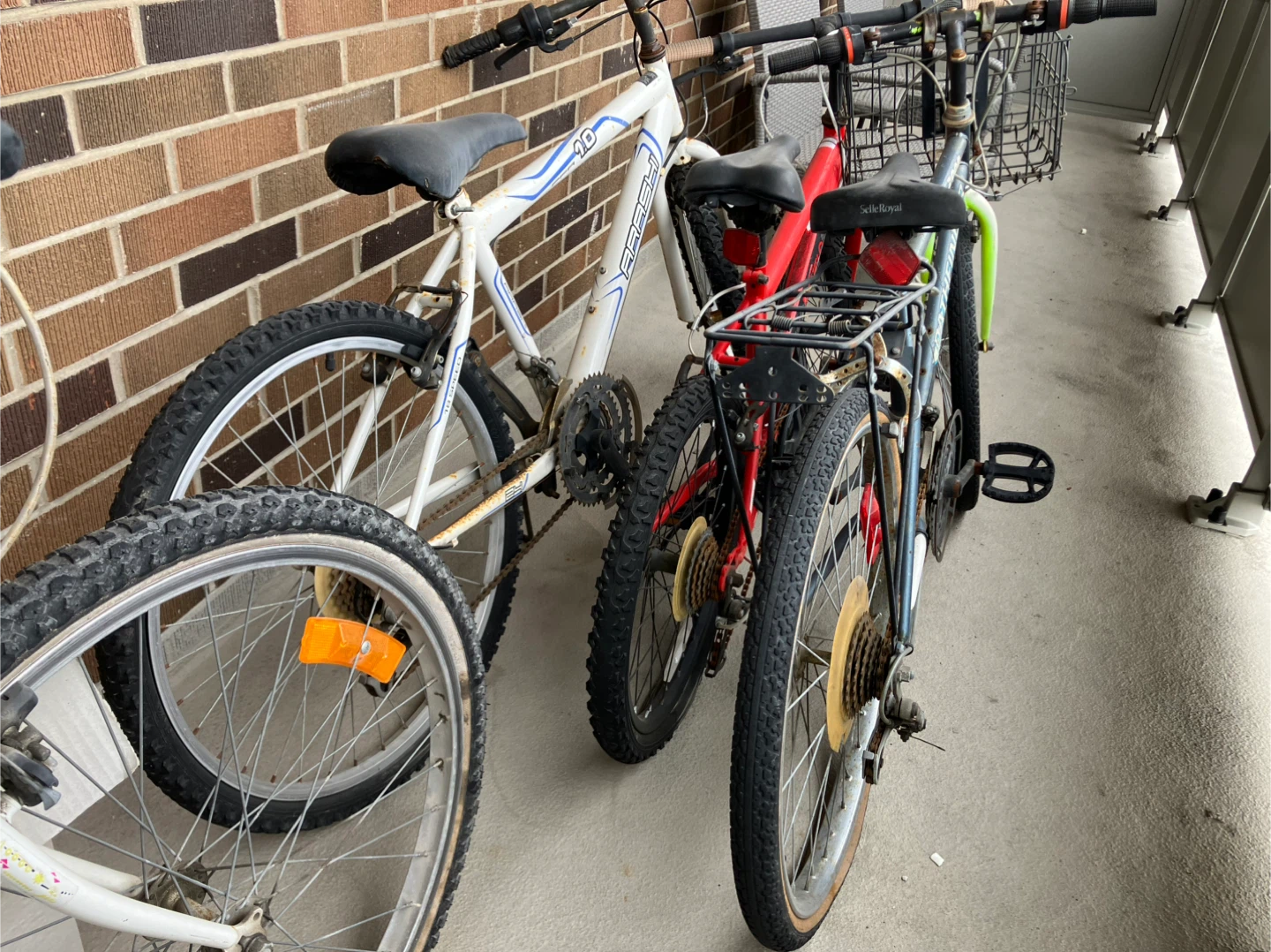 Mountain Bikes - White, Red, and Blue