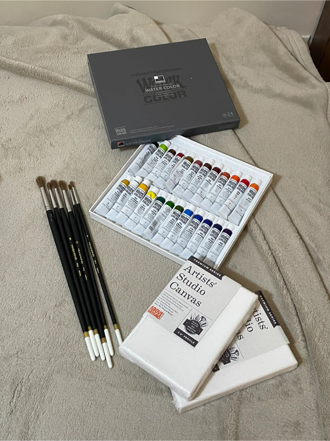 Professional Watercolor Paint Set & Brushes & Canvas - LIKE NEW
