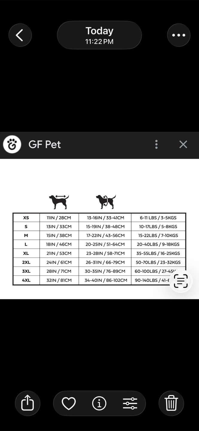 GF PET Puffer Coat (S) (New) - photo 3