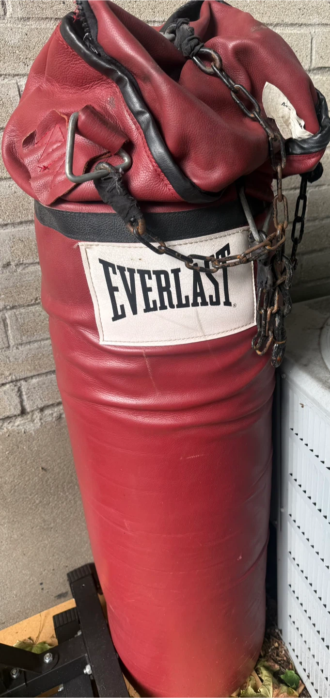 Everlast Red Punching Bag
