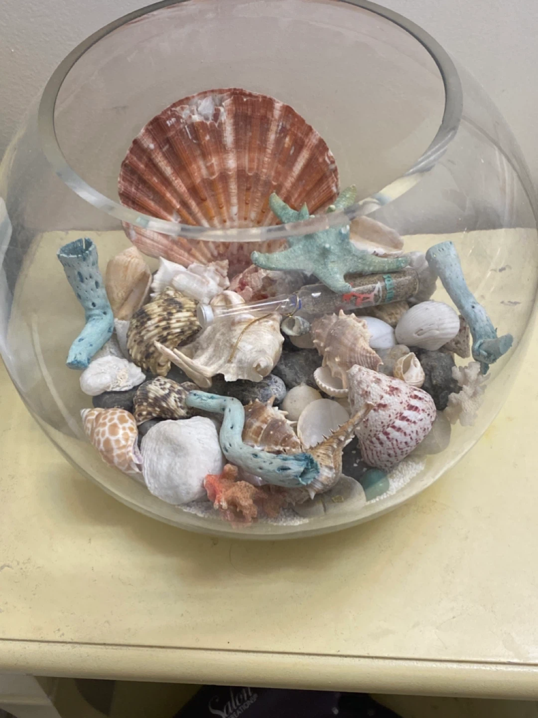 Beach in a fish bowl