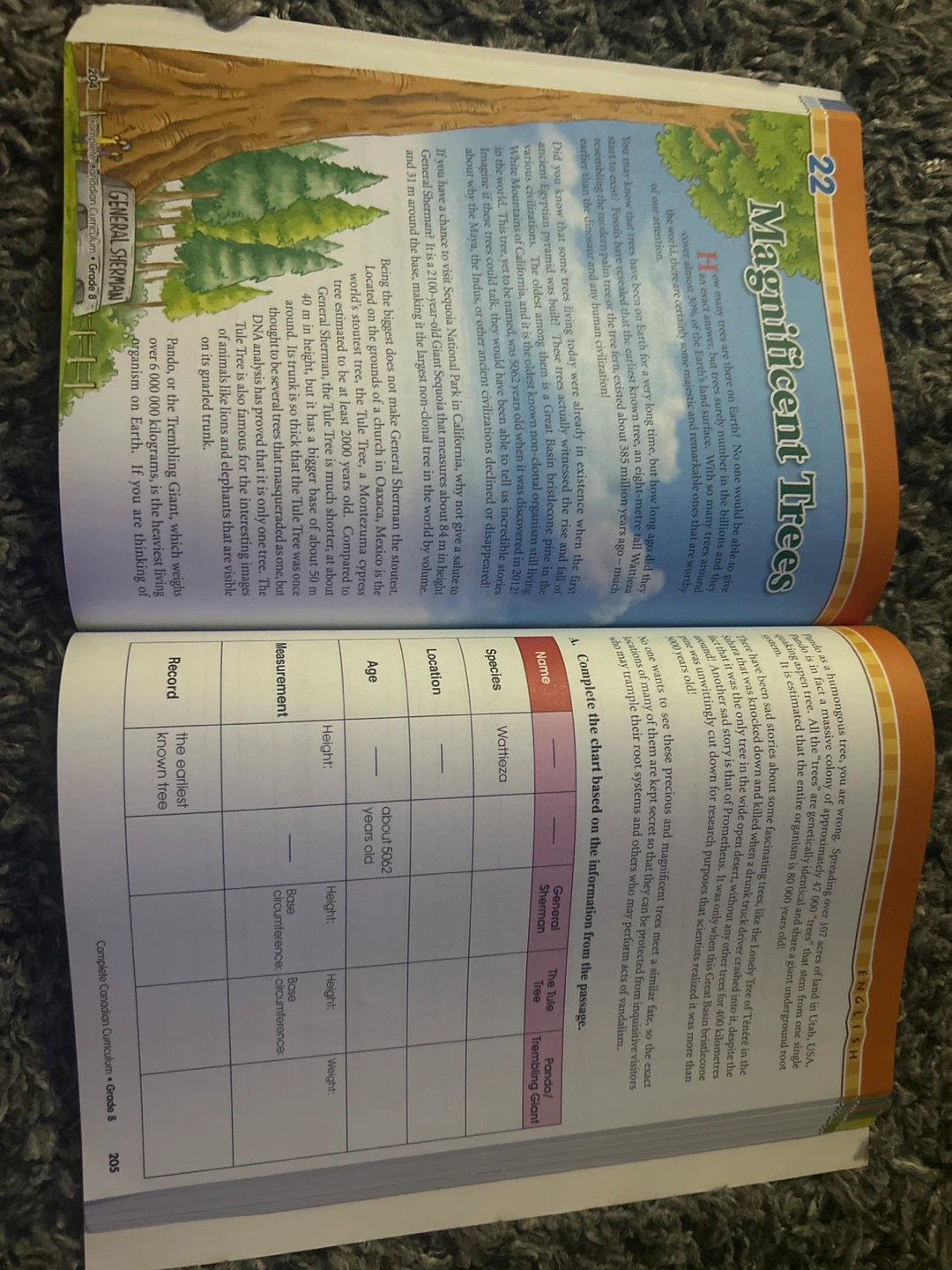 Complete Canadian Curriculum Grade 8 Enriched Edition - photo 4