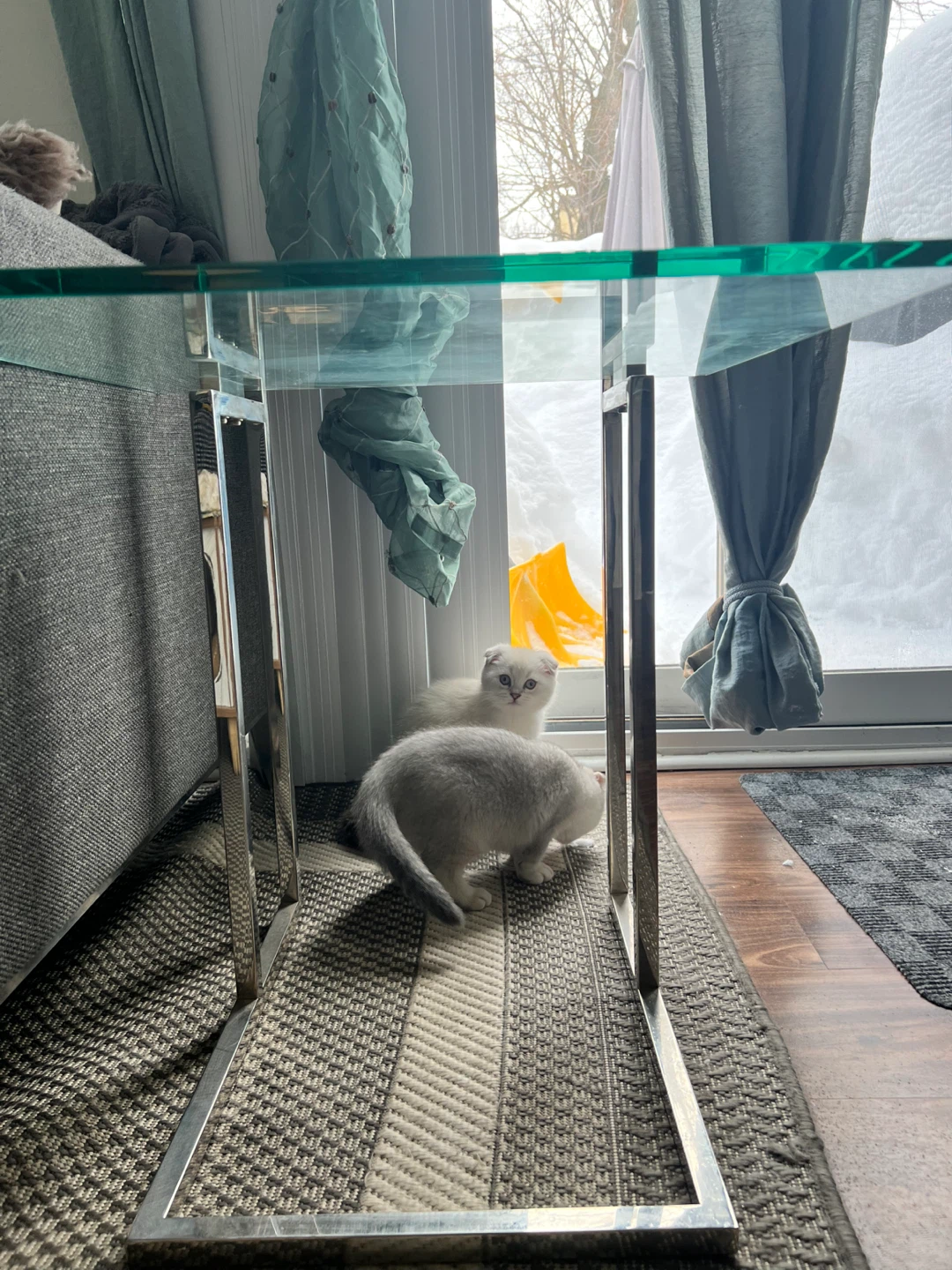 RH Glass and Stainless Steel Side Tables - photo 4