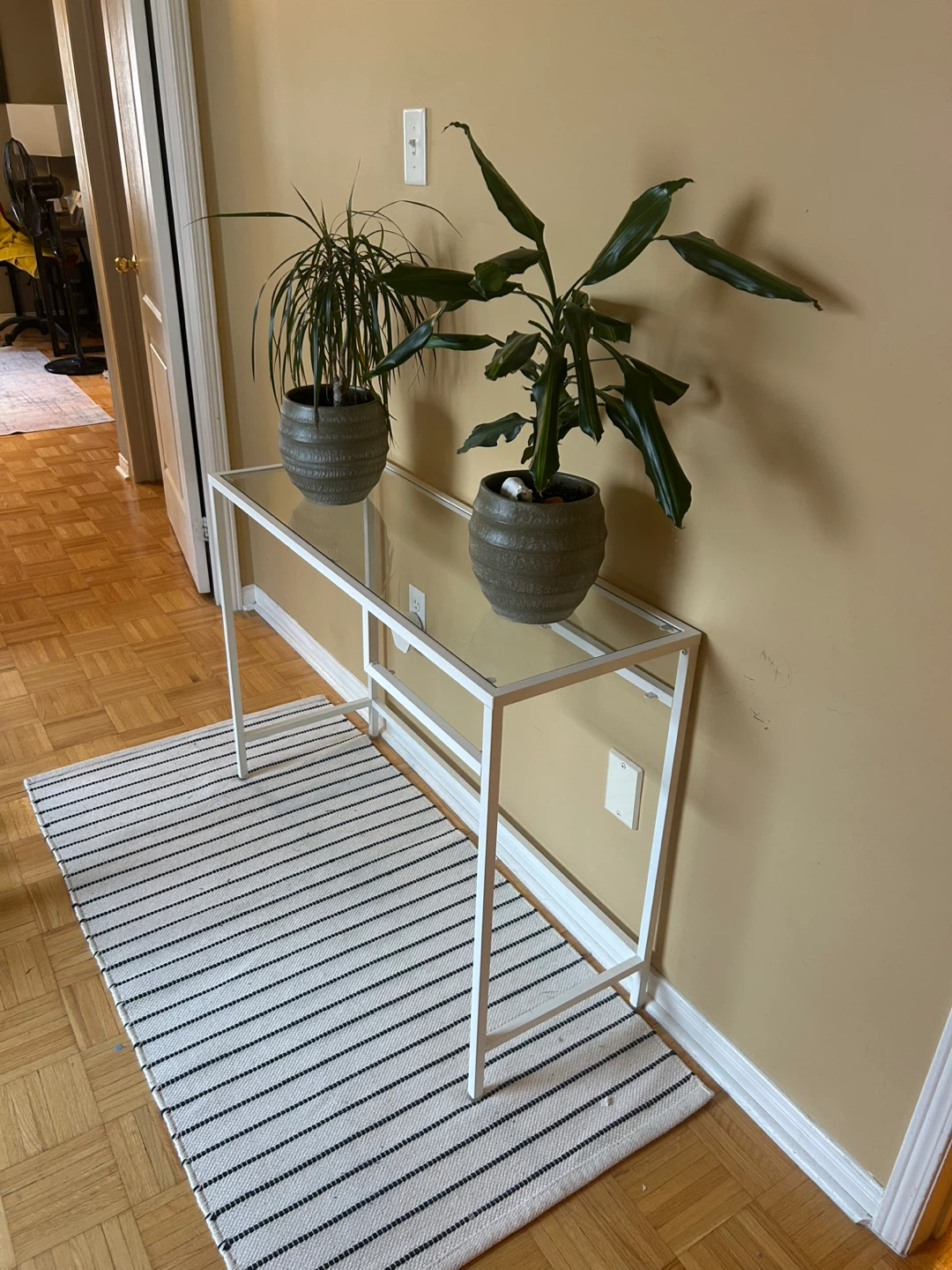 White Console Table with Glass Top with plants and rug