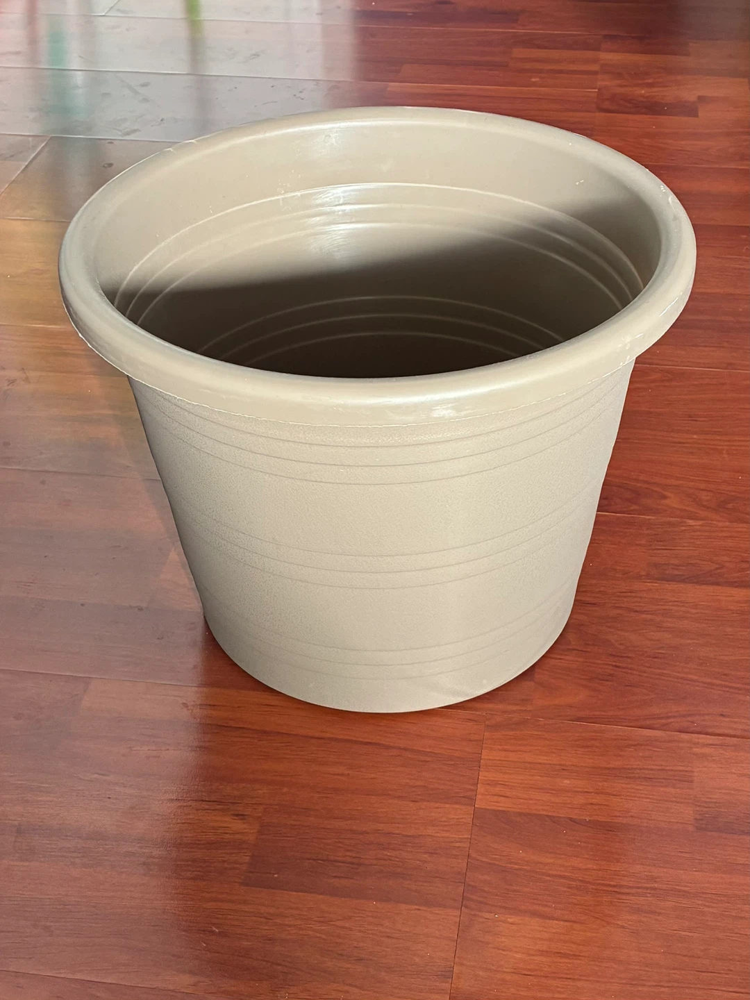Assorted Plant Pots and succulent - photo 3