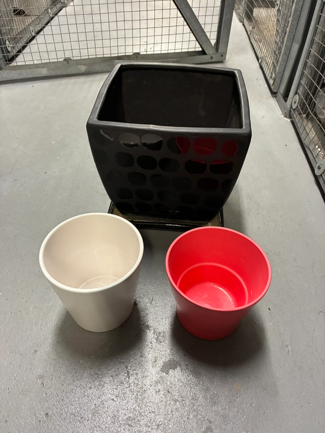 Assorted Plant Pots and succulent