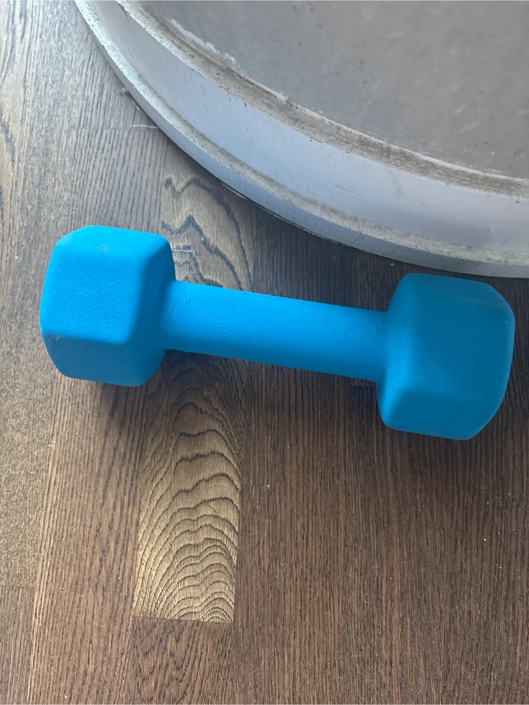 BRAND NEW 10LB Weight - photo 2