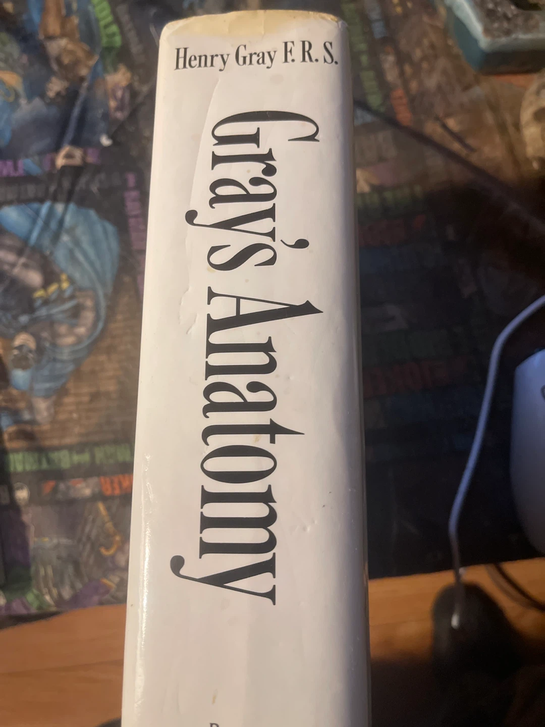 Gray's Anatomy Medical Reference Book - photo 2