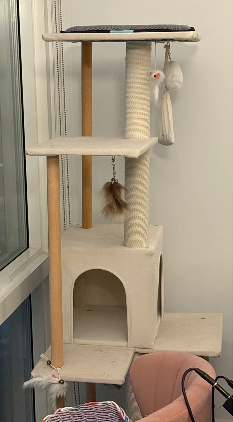 Cat tower, big scratcher, shelf etc.