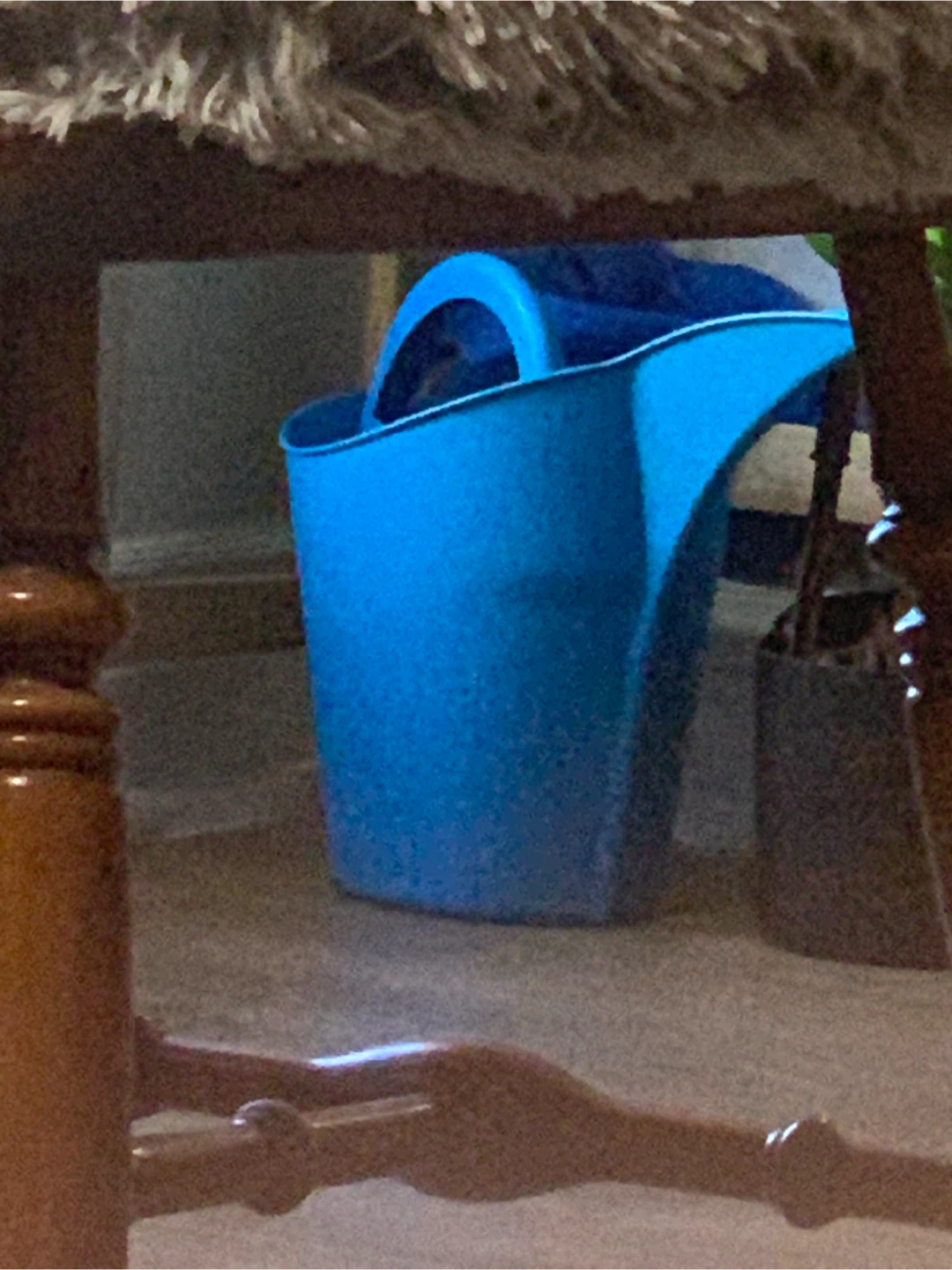 Blue Plastic watering Bucket