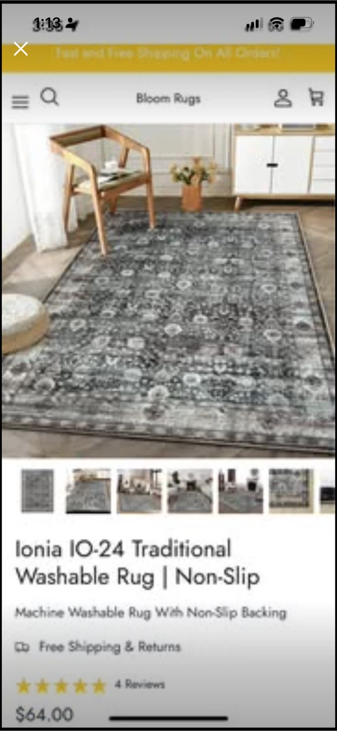 Ionia IO-24 Traditional Washable Rug 3’X5’ - photo 5