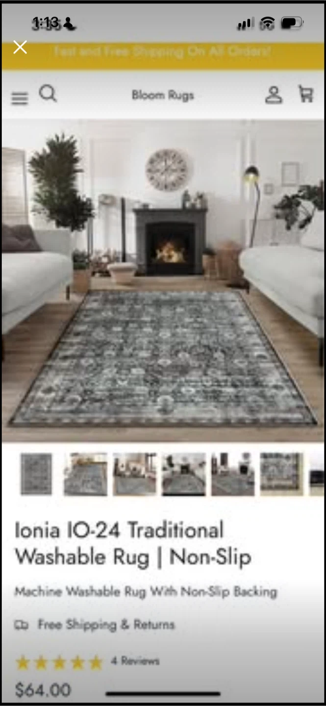 Ionia IO-24 Traditional Washable Rug 3’X5’ - photo 2