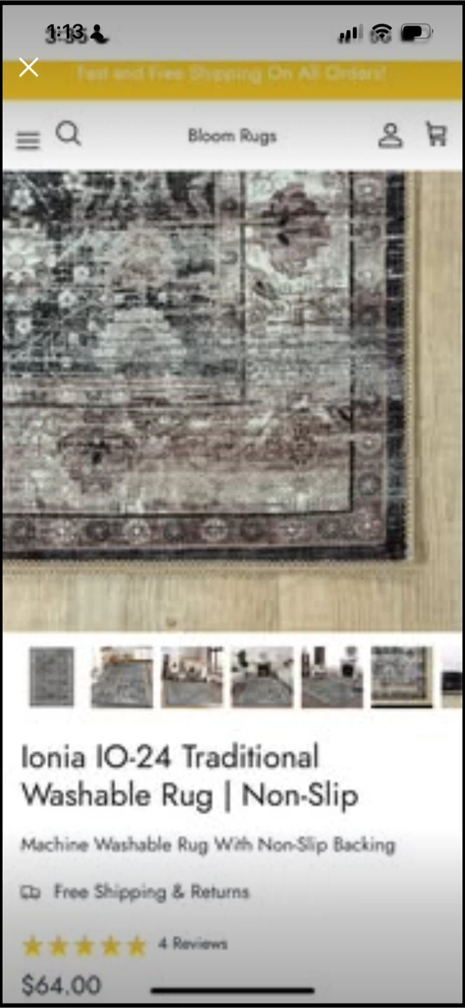 Ionia IO-24 Traditional Washable Rug 3’X5’ - photo 4