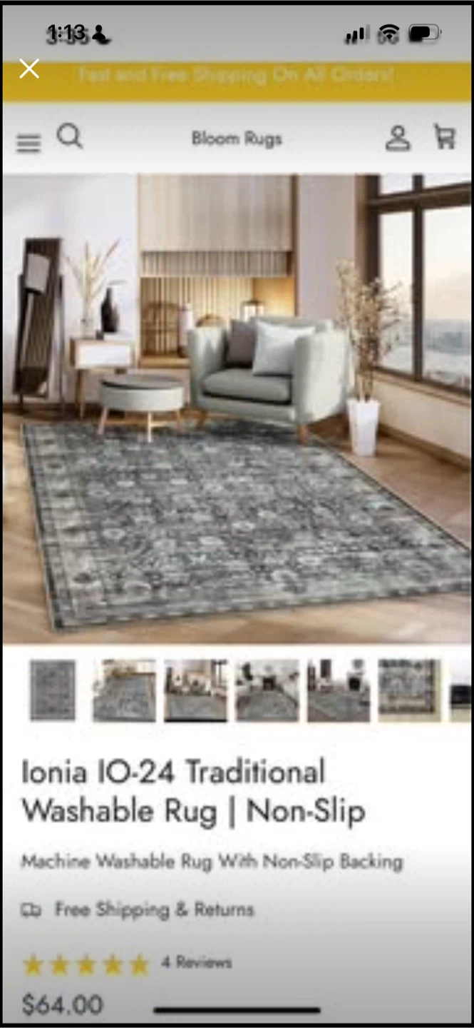 Ionia IO-24 Traditional Washable Rug 3’X5’