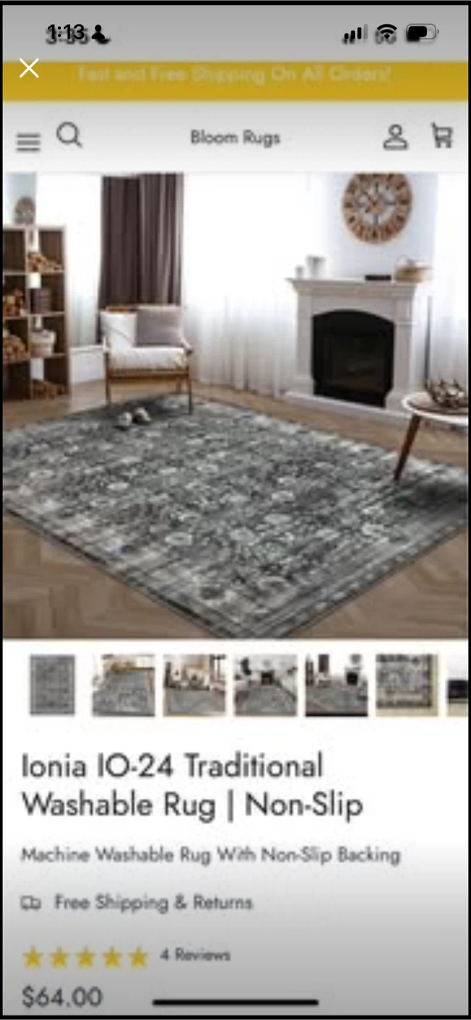 Ionia IO-24 Traditional Washable Rug 3’X5’ - photo 3