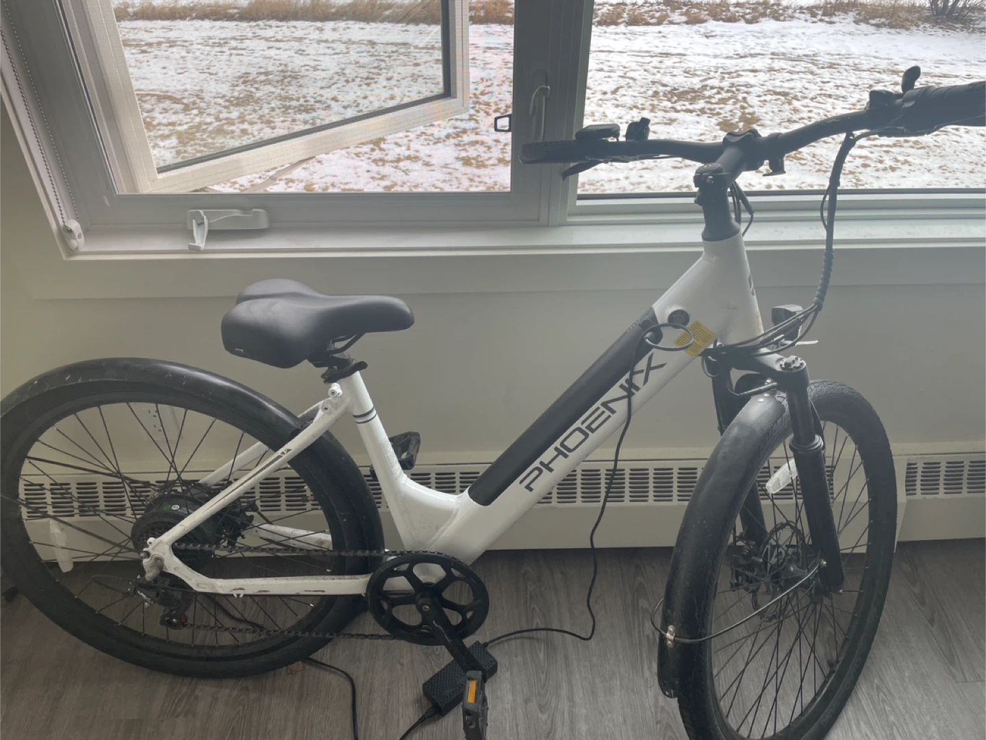 Phoenix Electric Bike
