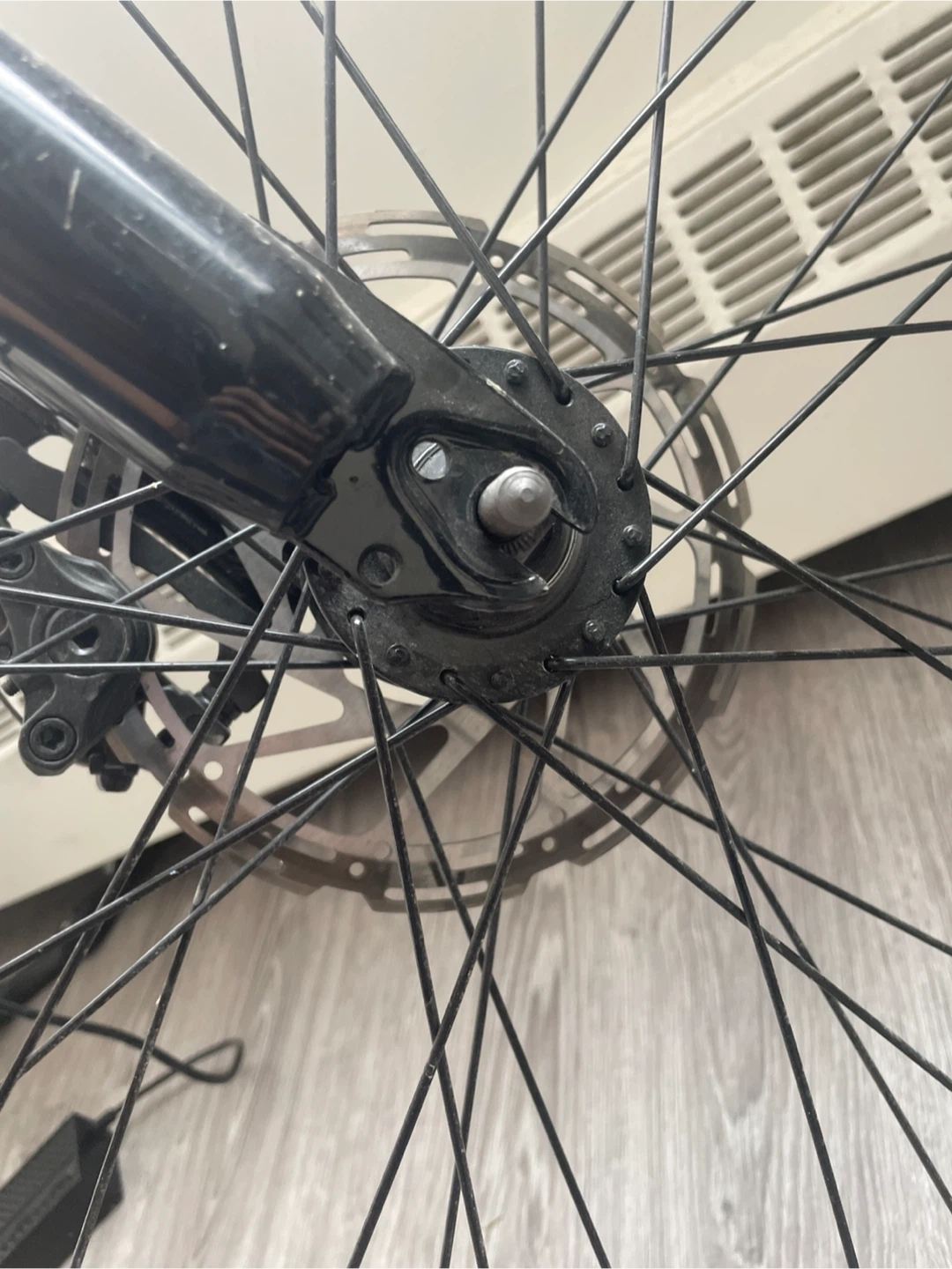Phoenix Electric Bike - photo 2