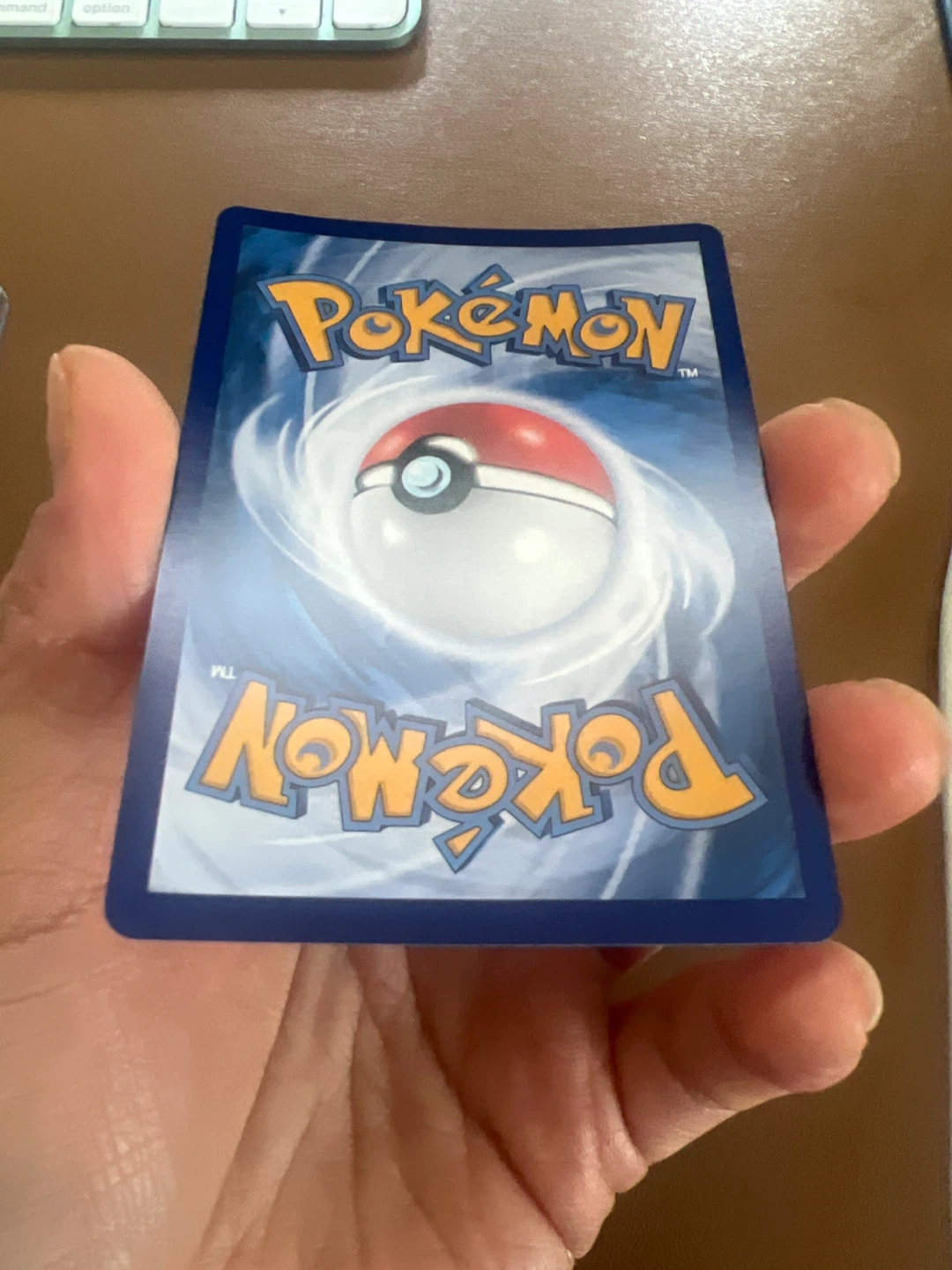 Pokemon Chinese Meowth AR - photo 4