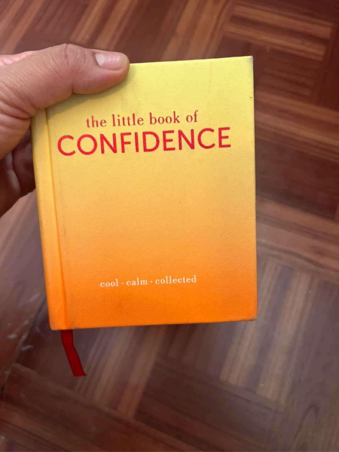 The little book of confidence