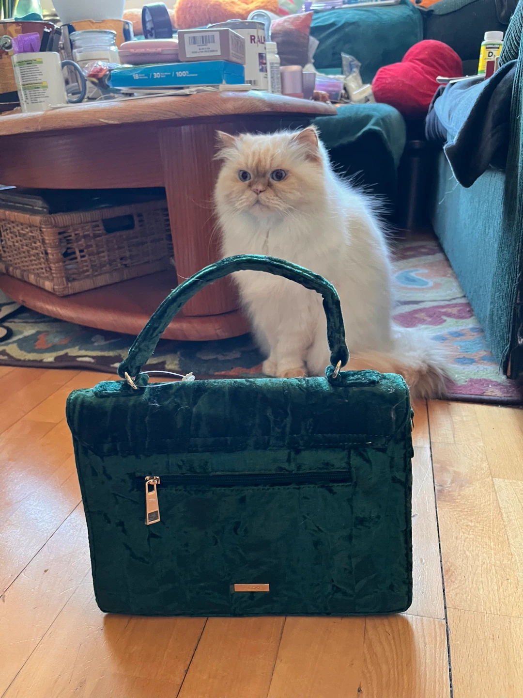 NEW ALDO Green Velvet Embellished Handbag - photo 3
