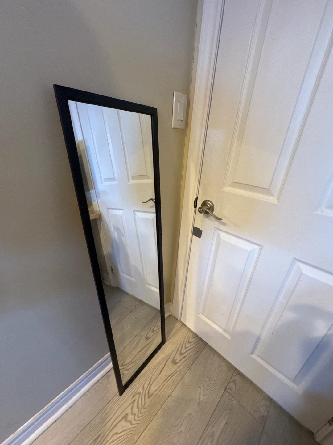 Full Length Black Framed Mirror