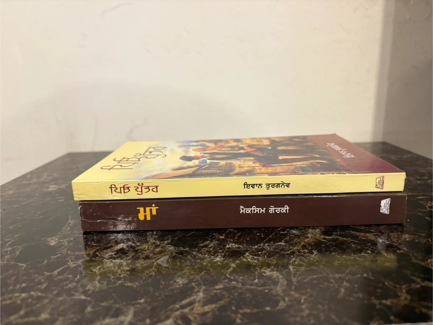 Collection of Punjabi Books - photo 3