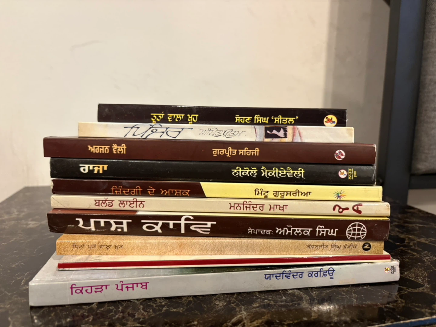 Collection of Punjabi Books - photo 2