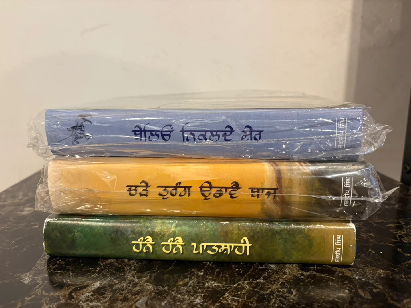Collection of Punjabi Books - photo 4