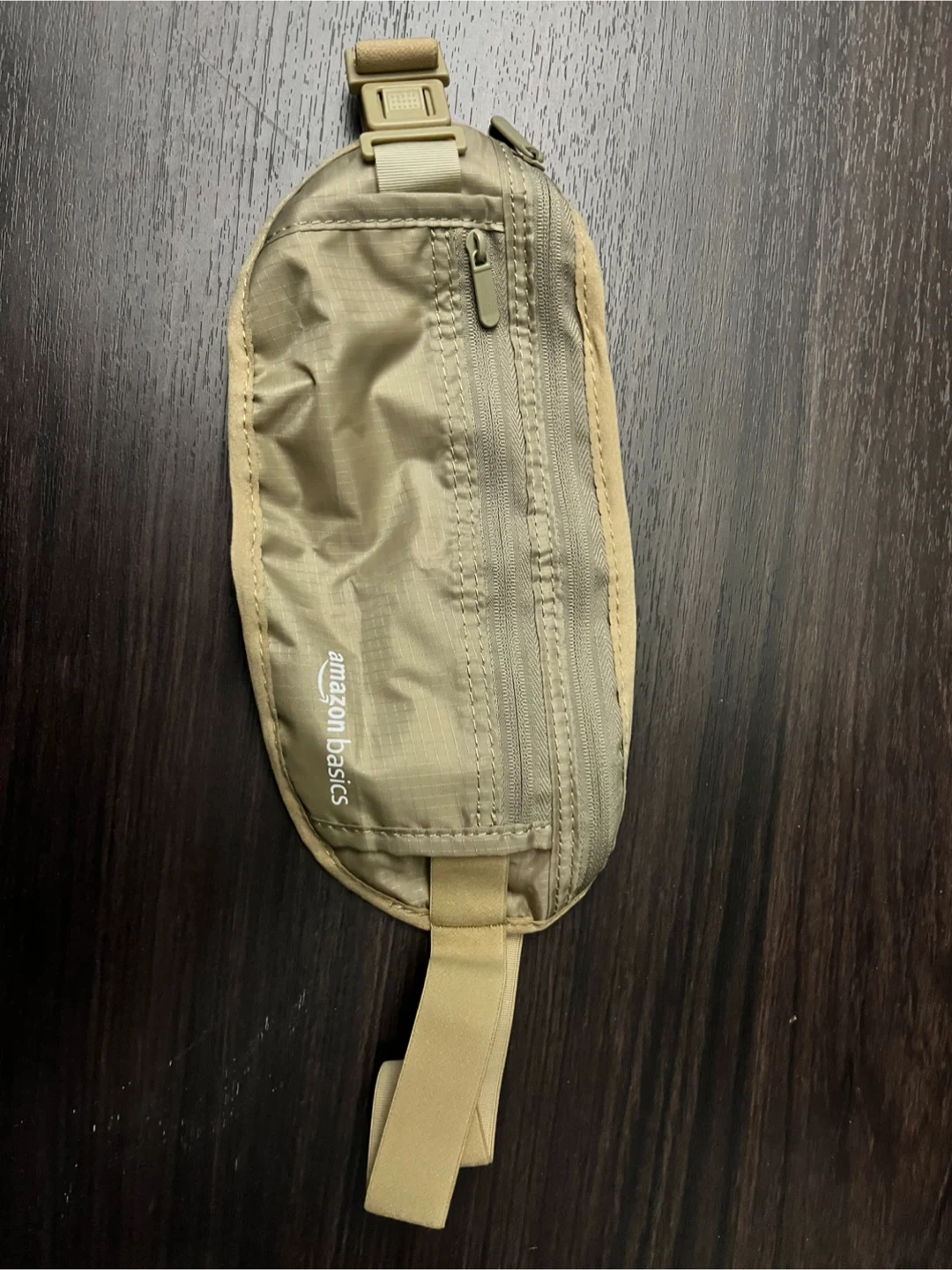 Amazon Basics Travel Money Belt