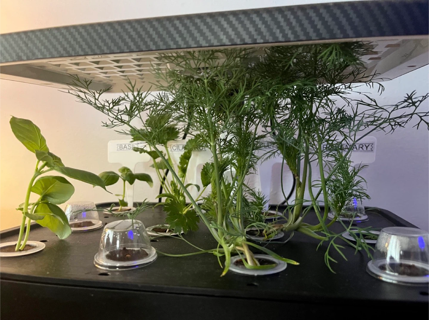 iDOO Smart Indoor Garden Kit - photo 2