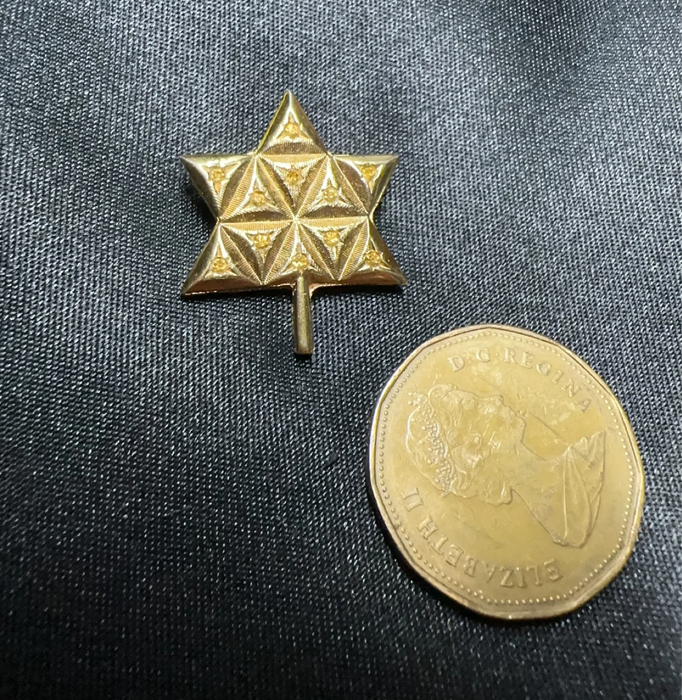 Expo Gold Tone Pin with Amber rhinestone